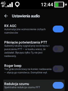 Dół ustawień audio